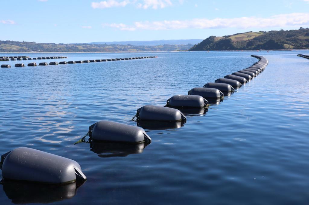 Floats